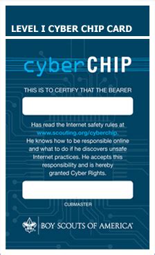 Cyber Chip Award 2024 .